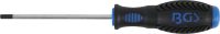 Screwdriver | internal Hexagon 4 mm | Blade Length 100 mm (8629-5)