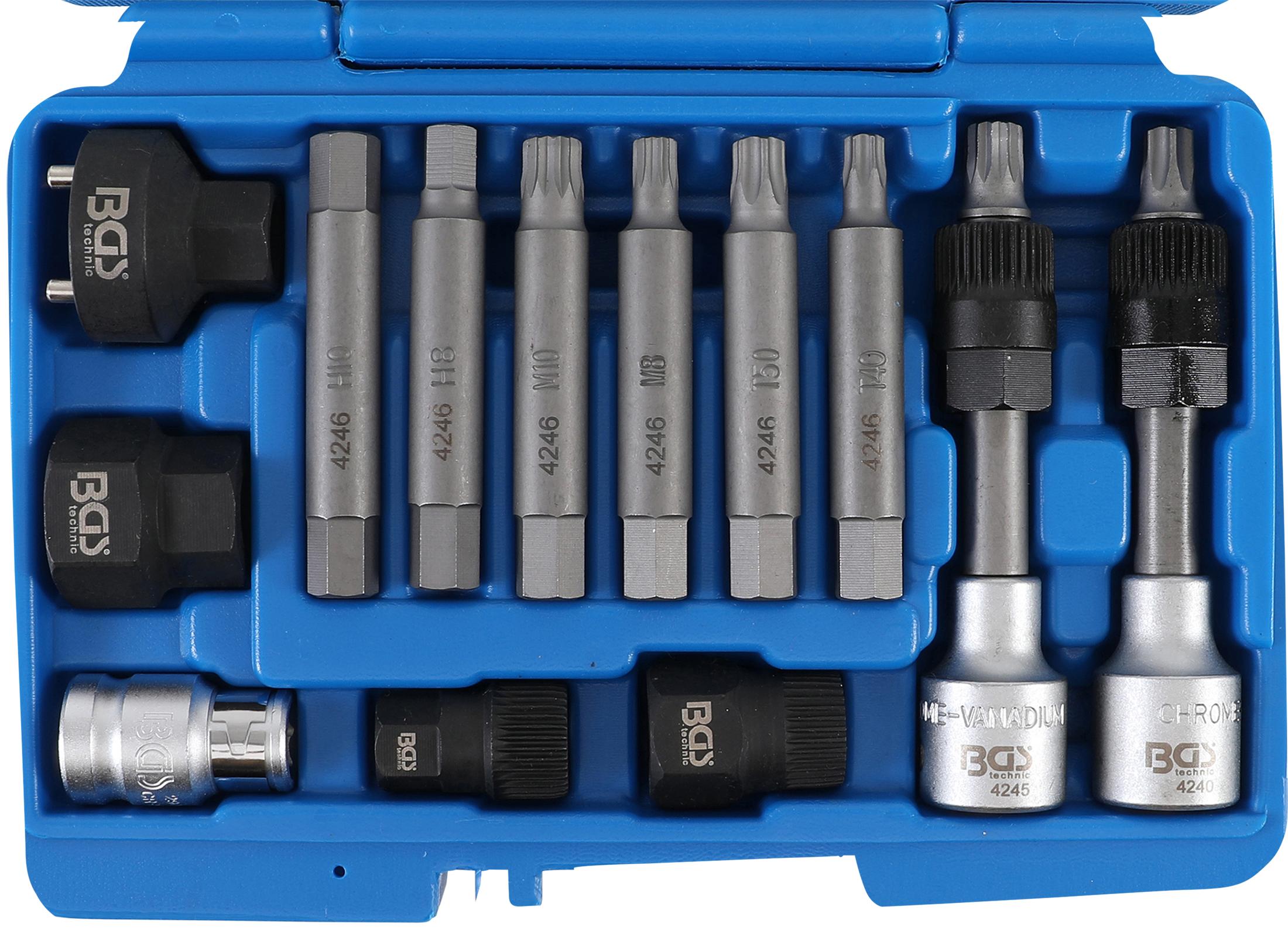 generatoriaus-remonto-komplektas-125mm-1-2-12-vnt-4246_180430124009 Alternator Bit Set | 12.5 mm (1/2") drive | 12 pcs. (4246)