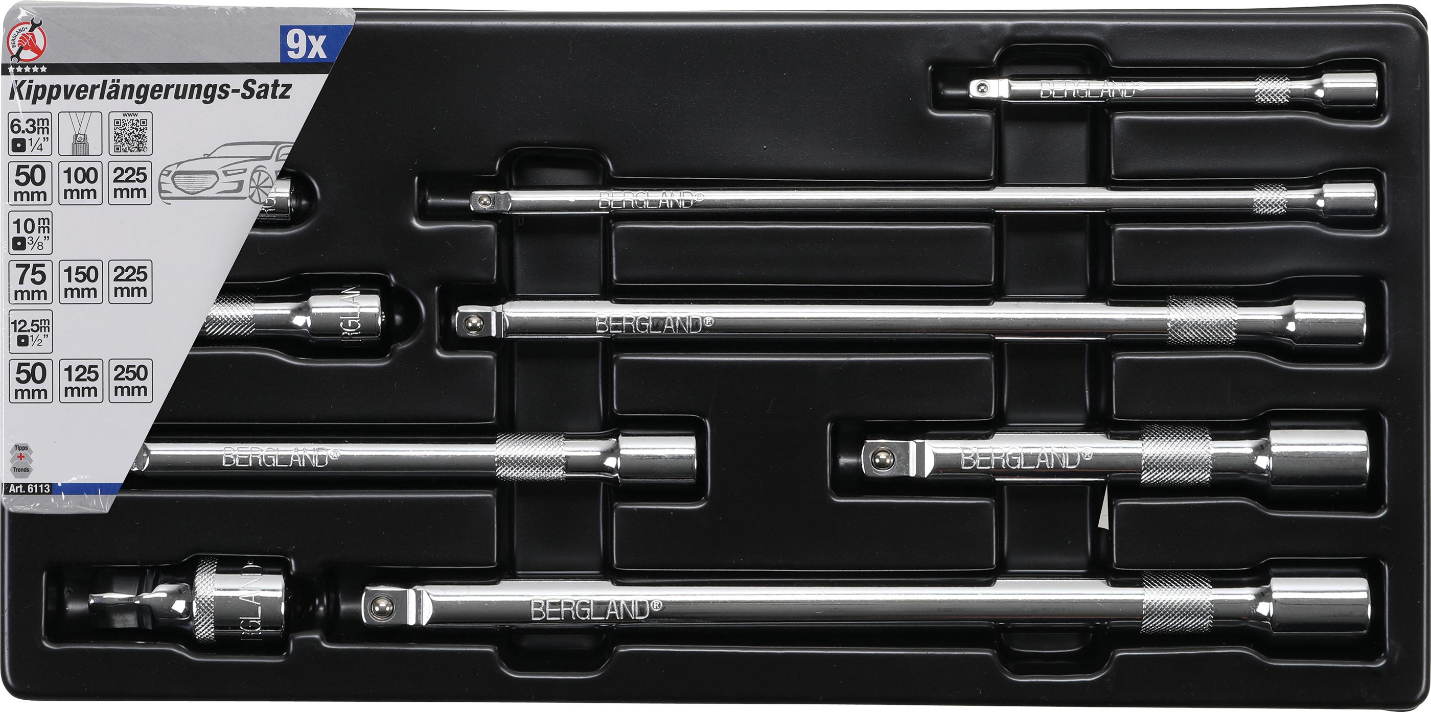 ilgintuv-rinkinys-arnyriniai-63mm-1-4-10mm-3-8-125mm-1-2-9-vnt-6113_1812020213061 "Wobble" Extension Bar Set | 6.3 mm (1/4") / 10 mm (3/8") / 12.5 mm (1/2") | 9 pcs. (6113)