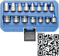 Magnetic Sockets for Oil Drain Screws | 15 pcs. (2256)