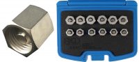 Injector Sealing Plug Set | 12 pcs. (9540)